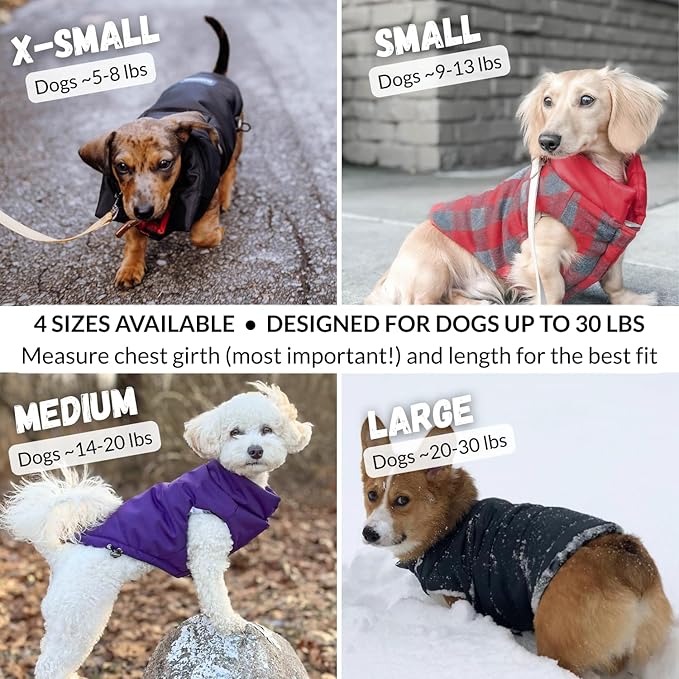 DJANGO Reversible Puffer Dog Coat – Warm Winter Dog Jacket & Water-Repellent Insulated Dog Coat with Harness Hole, Windproof, Adjustable Fit Vest for Small & Medium Dogs, Dachshunds – Black, Medium