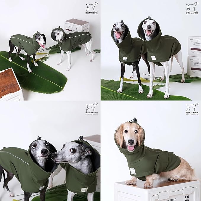Waterproof Dog Raincoat, Hooded Raincoat for Dachshund Whippet Small Medium Large Dogs, Adjustable Dog Rain Coat Jacket (01(Dachshund 5-10lbs))