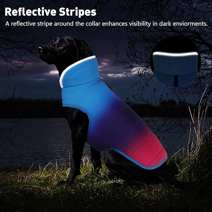 Dog Winter Coat, Waterproof Dog Jacket with Leash Hole, Reflective Adjustable Pet Snow Vest, Warm Fleece Sweater for Small Medium Large Dogs - Gradient Blue, S