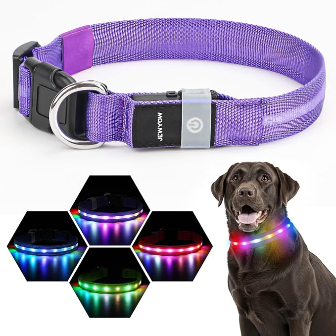 LED Dog Collar, Light Up Dog Collar, USB Rechargeable - Brightest Dog Lights for Night Walking, 6 Light Modes, Adjustable for Dog Safety(Small, Purple)