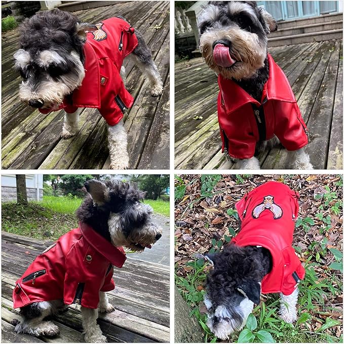 Lovelonglong Cool Dog Leather Jacket, Warm Coats Dogs Windproof Cold Weather Coats for Large Medium Small Dogs with Eagle Embroidery Red L