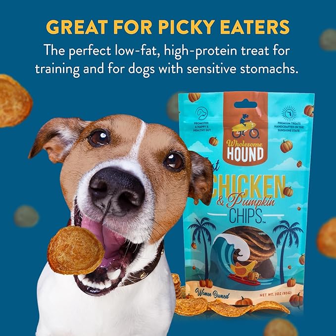 Chicken & Pumpkin Chips – Single Ingredient Dog Treats, All Natural & Healthy Training Snacks for Small, Medium & Large Breeds, Puppies – High Protein, Made in USA 3oz