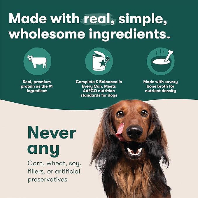 Jinx Premium Wet Dog Food Cans - Salmon Pate - Grain-Free Canned Dog Food Pate & Topper with Real Ingredients & No Fillers - All Life Stages, Breeds & Sizes - 12-Pack, 13 Oz