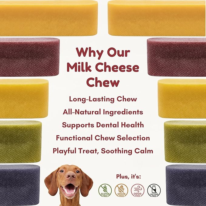 Majestic Pet Himalayan All-Natural Yak Cheese Dog Chews Made with 100% Cows Milk- Long Lasting Dental Chew for Dogs - Healthy Pet Treats (Dental & Bone Support, Regular, 5 Pack)
