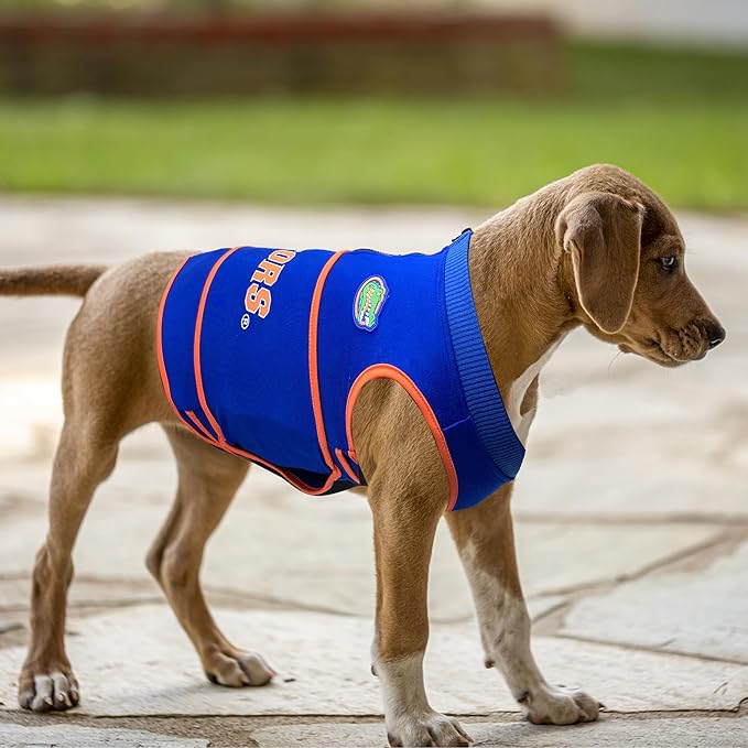 NCAA Florida Gators Dog Anxiety Shirt Calming Soothing Vest, for Dogs & Cats with Anxiety, Fears, Fireworks, Loud Noises, Dark, Lonely Keeps Dogs Calm & Feeling Safe, Relaxing Jacket, Small