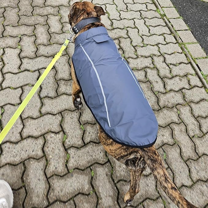 Mile High Life Dog Raincoat, Adjustable Waterproof Reflective Rain Jacket for Small Medium Large Dogs, Lightweight Breathable Pet Rain Coat with Leash Hole(Dark Gray,XS Chest 17-23")