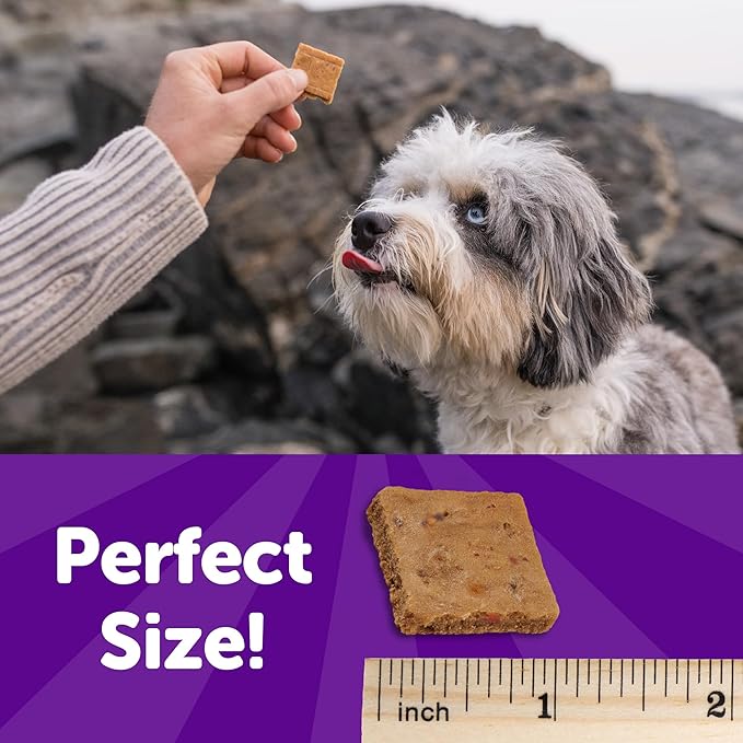Wellness Rewarding Life Dog Treats, Training Treat, Grain Free, Soft Chicken & Lamb (6 Ounce Bag)