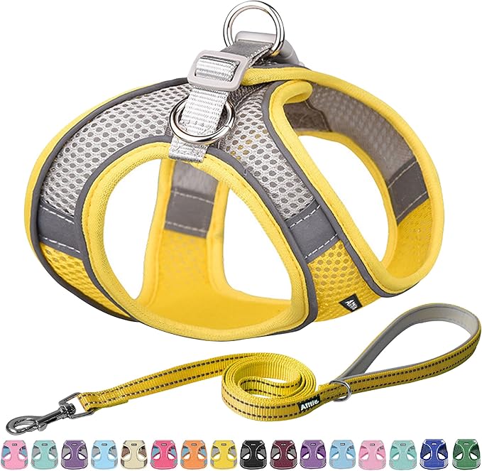 AIITLE Step in Dog Harness and Leash Set - Summer No Pull Escape Proof Harnesses with Soft Mesh and Reflective Bands, Adjustable Pet Outdoor Vest for Small and Medium Dogs Yellow M