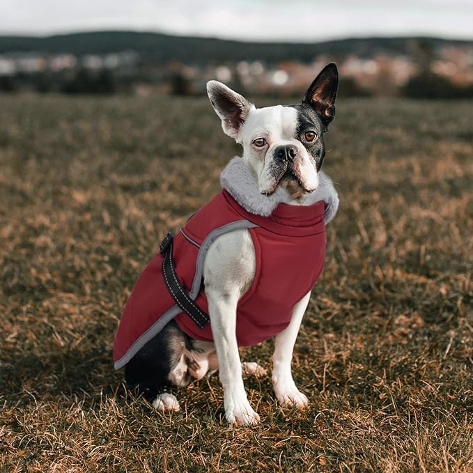Lelepet Warm Dog Winter Coat Reflective Dog Jacket Fleece Vest Waterproof Windproof Cold Weather Coats with Adjustable Buckle Plush Turtleneck Pet Snowsuit for Small Medium Large Dogs,Yorshire,S