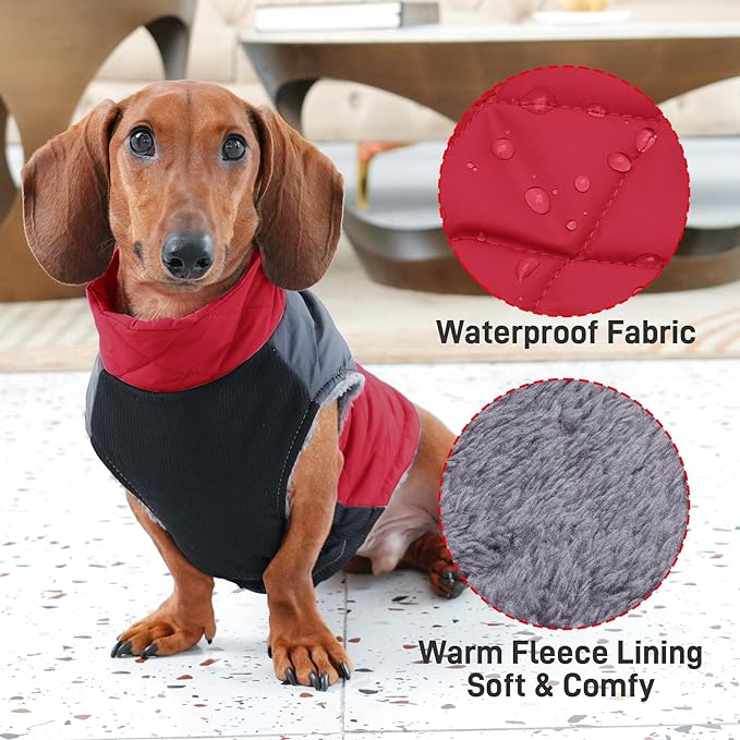 Warm Fleece Dog Coats for Small Dogs,D-Rings Waterproof Puppy Jacket for Cold Winter,Red XS