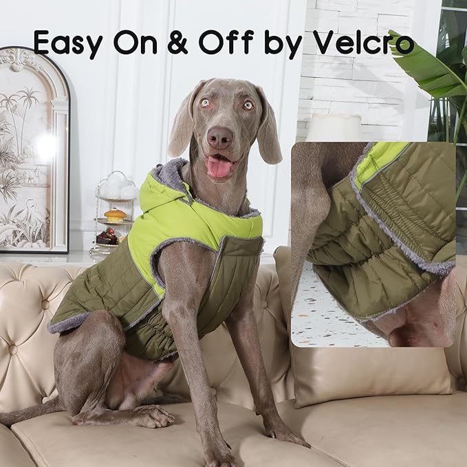 Detachable Hooded Dog Coat with Harness for Small Dogs,Super Warm Fleece Puppy Jacket for Cold Winter Doggie Coats,Green M