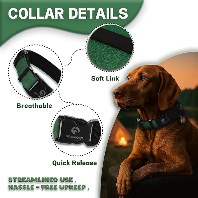 DOGWONG LED Dog Collar - Heavy Duty Light up Collars - Rechargeable Waterproof - Lighted Dog Collar for Night Walking, Hiking, Camping(Green,L)