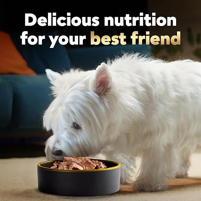 Cesar Wet Dog Food Loaf in Sauce Rotisserie Chicken, Filet Mignon, Angus Beef, and Ham & Egg Flavors Variety Pack, 3.5 oz. Easy Peel Trays (24 Count, Pack of 1)