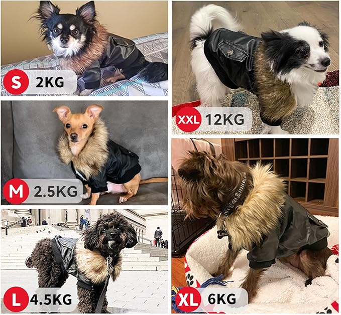 PETLESO Dog Coat for Small Dogs, Dog Leather Jacket Waterproof Windproof, Double Layer Warm Dog Winter Coat with Plush Lined, Black S