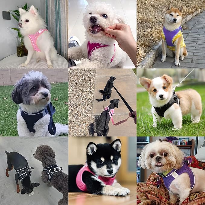 Dog Harness with Leash Set, No-Pull Step-in Reflective Pet Harness with 1 Leash Clips, Adjustable Soft Padded Easy Walk Dog Vest for Small Medium Large Dogs, Cats(Carbon Black, Large)