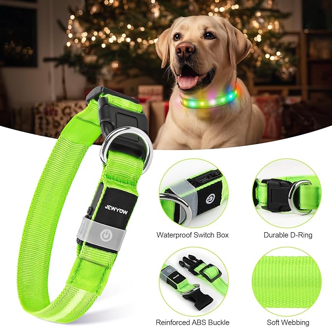 LED Dog Collar, Light Up Dog Collar, USB Rechargeable - Brightest Dog Lights for Night Walking, 6 Light Modes, Adjustable for Dog Safety(Medium, Neon Green)