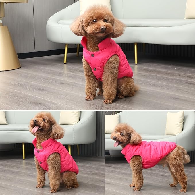 2 Layers Fleece Lined Warm Dog Jacket for Puppy Winter Cold Weather,Soft Windproof Small Dog Coat,Pink XS