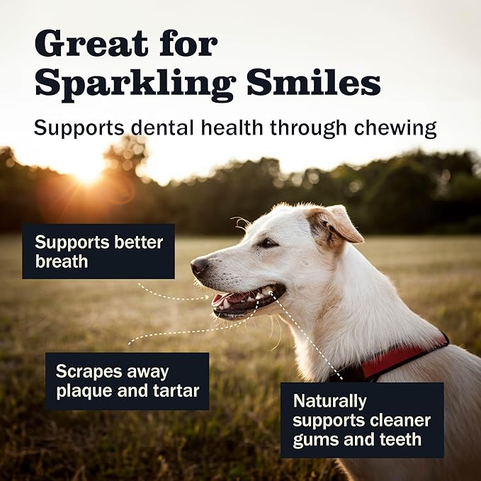 Redbarn Pet Products Bully Slices for Dogs Original Bully Natural Dental Treats 12 Bags