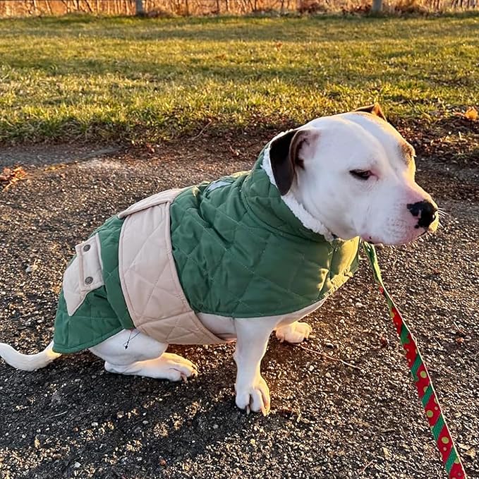 KYEESE Dog Coat Soft Pet Sweater for Cold Weather Windproof Dog Coats for Small Dogs Waterproof Dogs Jacket with Fleece Lined Warm Pet Winter Puffer Coat with Leash Hole Thick Cat Clothes with Pocket
