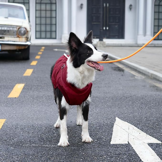 Dog Jacket with Harness,Fleece Lined Warm Puppy Coat for Winter,Soft Windproof Large Dog Vest,Red XXXL