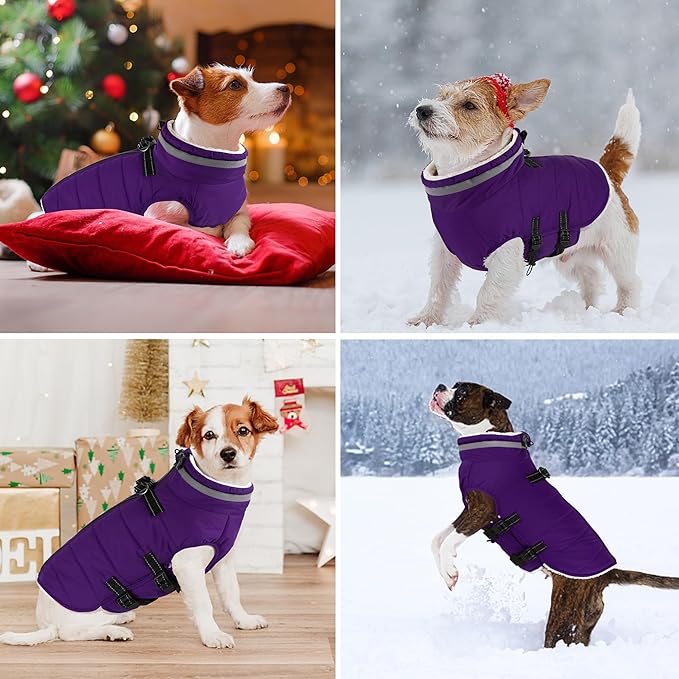 Dogcheer Dog Coat with Harness, Waterproof Dog Jacket Adjustable Pet Winter Coat with Zipper, Christmas Puppy Snow Jacket Fleece Sweater for Small Medium Large Dogs - Purple M
