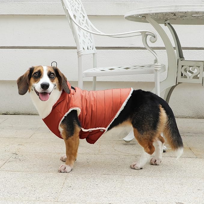 Fleece Lining Dog Hoodie with Harness Built in,Extra Warm Medium Dog Jacket in Winter Doggie Coats with Drawstring Hooded,Orange XL