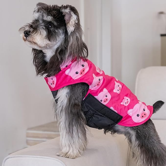 CuteBone Winter Dog Jacket - Reversible, Windproof & Waterproof Soft Coat with Leash Hole for Small to Large Dogs