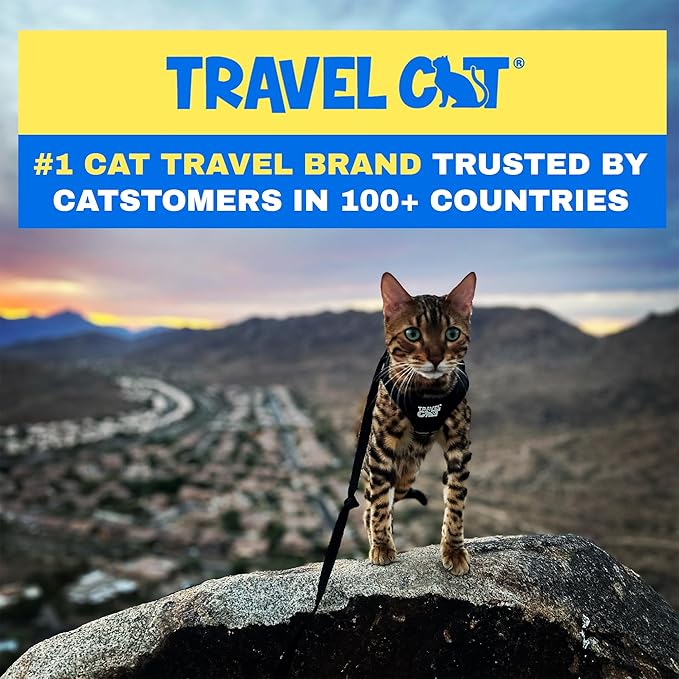 Travel Cat Harness and Leash Set - Adjustable Fit Mesh Cat Harness and Reflective Strap - Comfort Walking Vest for Kitten for Outdoor Walking, Hiking (Large, Black)