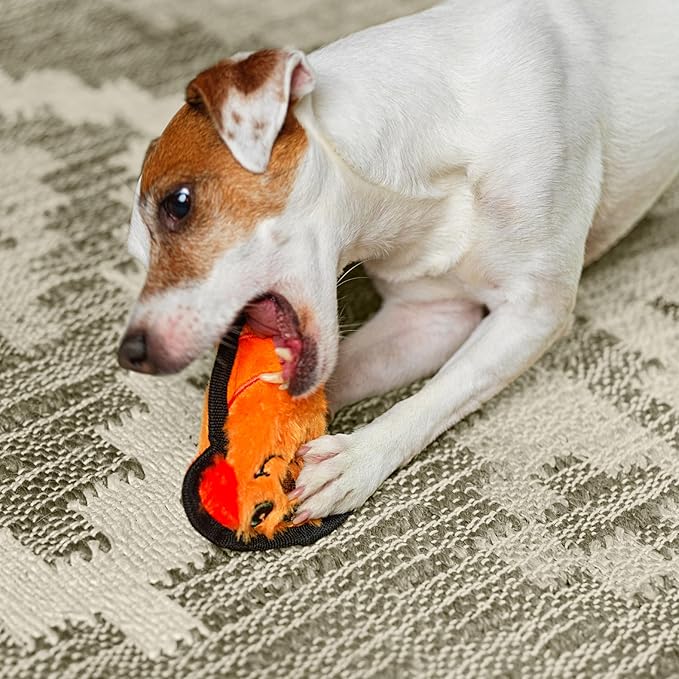 Outward Hound Durablez Minis Stuffing-Free Squeaky Plush Dog Toy for Puppies & Small Dogs - Interactive, Soft Yet Tough, No Mess, Jumbo Squeaker, Long-Lasting Play, Dog