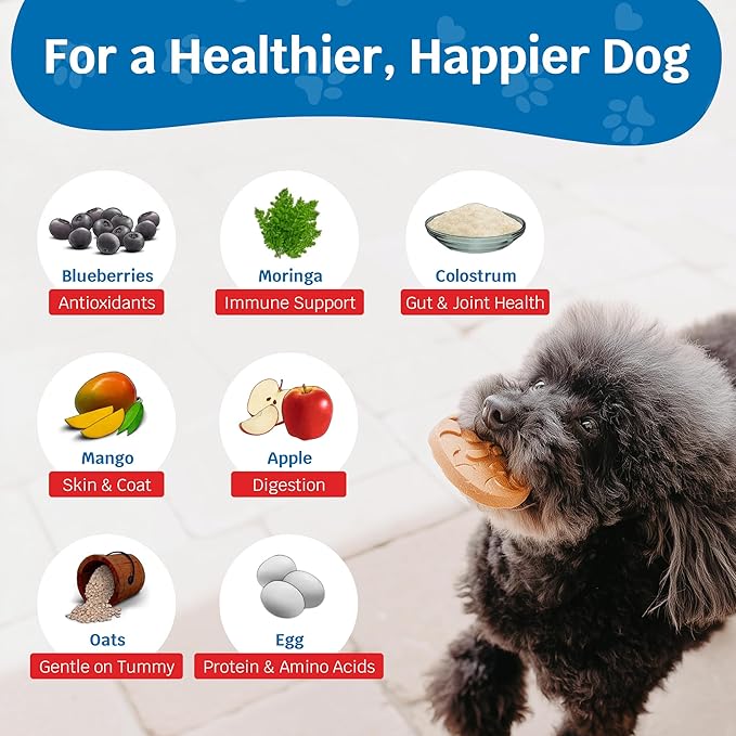 Shmush! Morning & Night Healthy Dog Biscuits – 100% All Natural Dog Treats Superfood with Blueberries, Colostrum & Moringa - Vet Formulated, Non-GMO, USA Made, Grain Free Cookies for Dogs - 14 Count