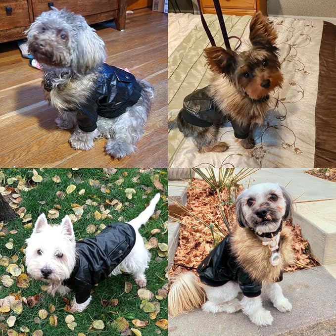 LESYPET Dog Leather Jacket for Small Dogs, Waterproof Dog Winter Jacket Puppy Coat with Fleece Lined, Ultra Warm Fur Collar Doggie Coat, Red S