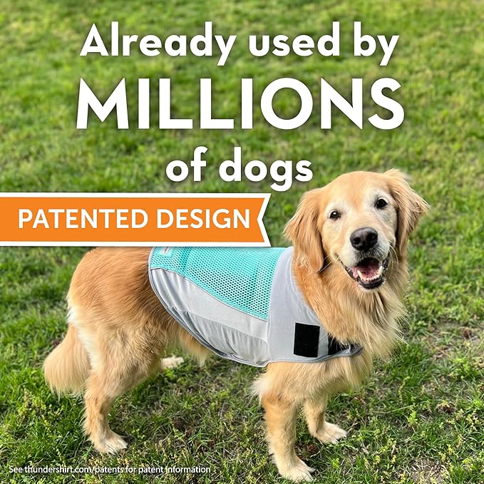 ThunderShirt Breeze for Dogs, X-Small, Aqua, Extra Breathable Mesh Fabric, Dog Anxiety Relief Vest for Every Day Stress & Calming During Thunder Storms and Fireworks
