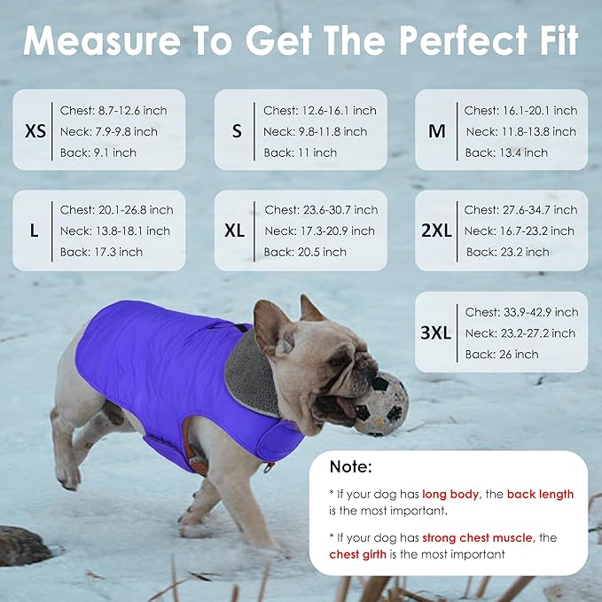 Dog Winter Coat, Waterproof Dog Jacket with Leash Hole, Reflective Adjustable Pet Snow Vest, Warm Fleece Sweater for Small Medium Large Dogs - Blue, L
