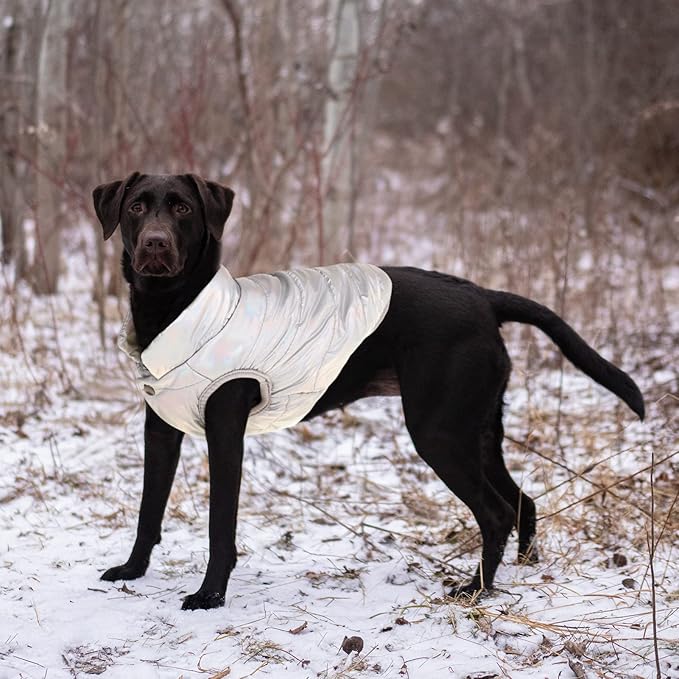 ASENKU Dog Winter Coat - Waterproof Windproof Dog Jacket, Warm Snowproof Doggie Puffer Vest for Cold Weather, Lightweight Snow Coats for Small Medium Large Dogs(Silver, XS)