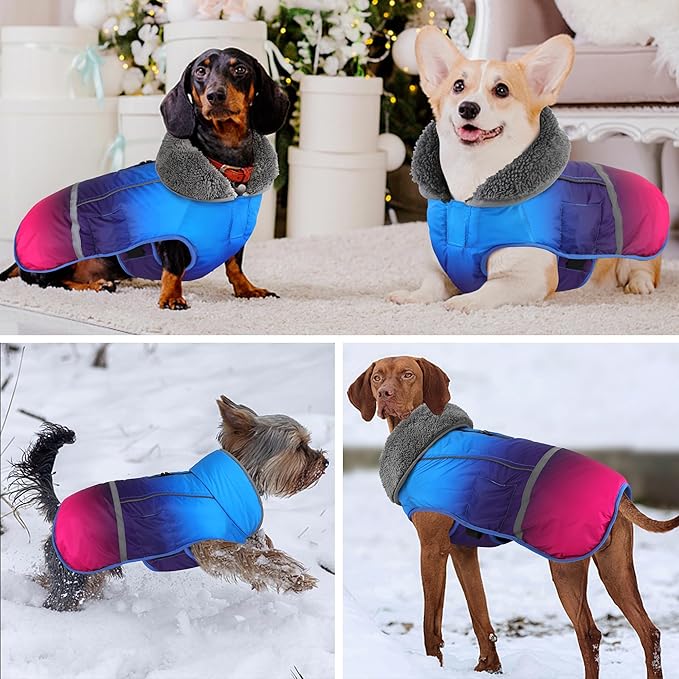 Dogcheer Warm Dog Coat, Waterproof Dog Winter Jacket Christmas Puppy Cold Weather Coats with Buckle, Reflective Adjustable Pet Snow Jacket for Small Medium Large Dogs - Gradient Blue-red, S