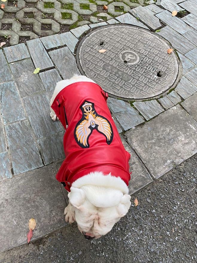 Lovelonglong Cool Dog Leather Jacket, Warm Coats Dogs Windproof Cold Weather Coats for Large Medium Small Dogs with Eagle Embroidery Red B-M