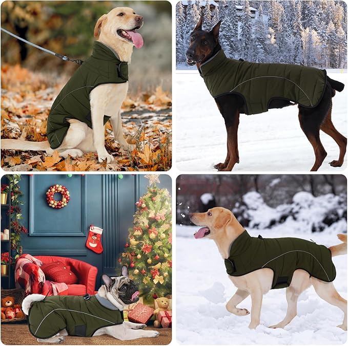 HEYWEAN Dog Winter Coat - Waterproof Windproof Reflective Vest for Medium & Large Breeds Adjustable Warm FleeceLined Jacket with Magic Tape & D-Ring for Leash Cold Weather Apparel (Green, Small)