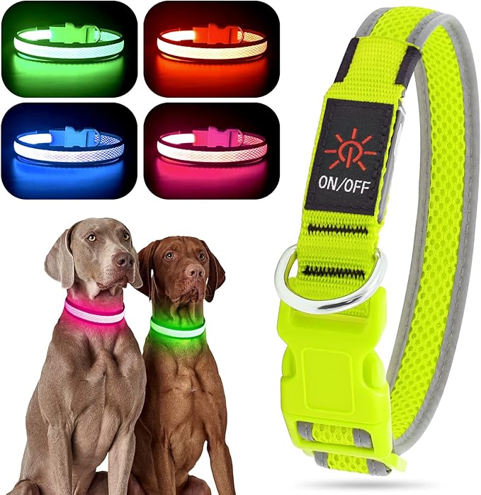 YFbrite Light up Dog Collar, USB Rechargeable LED Puppy Collar Super Bright Adjustable Glowing Dog Lights for Night Walking (Green, Medium)