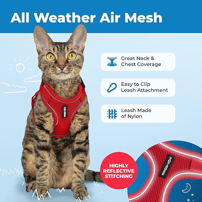 Voyager Escape Proof Cat Harness and Leash Set with Reflective Stitching, Neoprene Handle 5ft - Supports Small, Medium and Large Cats, Kittens for Walking by Best Pet Supplies - Red, XXS