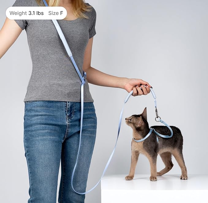 Cat Harness and Leash Set, Lightweight Escape Proof Cat Harness Leash with Padded Handle, Adjustable Cat Leash Harness for Kitten Small Large Cats Walking Training (Vivid Red, M)