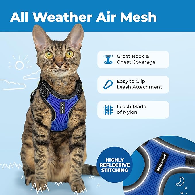Voyager Escape Proof Cat Harness and Leash Set with Reflective Stitching, Neoprene Handle 5ft - Supports Small, Medium and Large Cats, Kittens for Walking by Best Pet Supplies - BT-Royal Blue, XXXS
