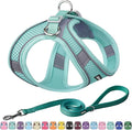 AIITLE Step in Dog Harness and Leash Set - Summer No Pull Escape Proof Vest Harnesses with Soft Mesh and Reflective Bands, Adjustable Pet Outdoor Harnesses for Small and Medium Dogs Pure Turquoise M