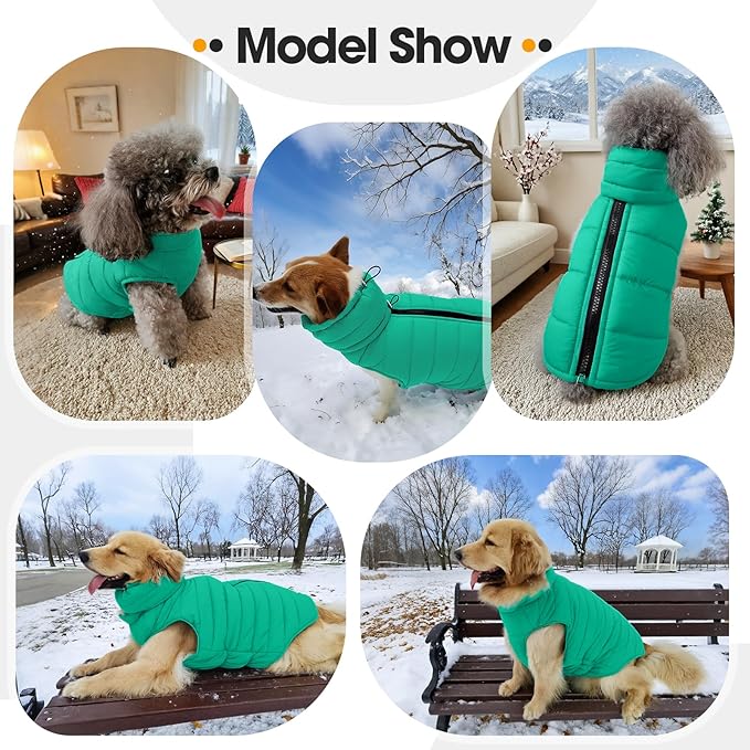 Medium Dog Jacket with Zipper, Dog Winter Coats for Medium Dogs, Warm Waterproof Snow Puffer Vest for French Bulldog, Boston Terrier, Cocker, Beagle, Green M