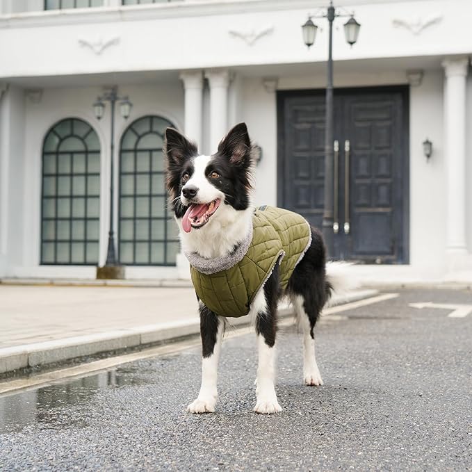 Warm Fleece Dog Coats with Durable Harness Buitl in D-Ring,Waterproof Doggie Jacket for Medium Dogs,Dog Vest for Cold Winter,Green L