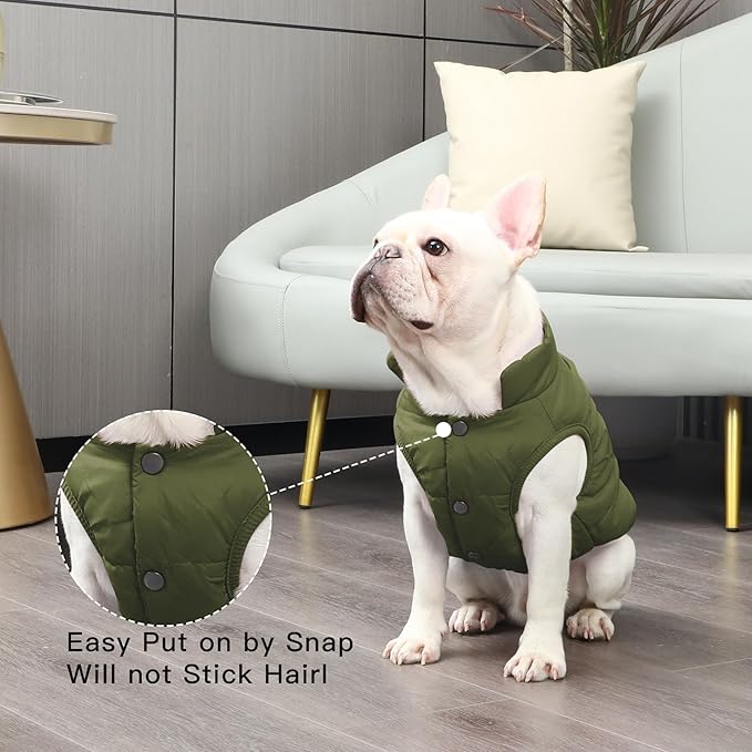 Fleece Lined Warm Dog Jacket for Winter Cold Weather,Soft Windproof Medium Dog Coat,Green XL
