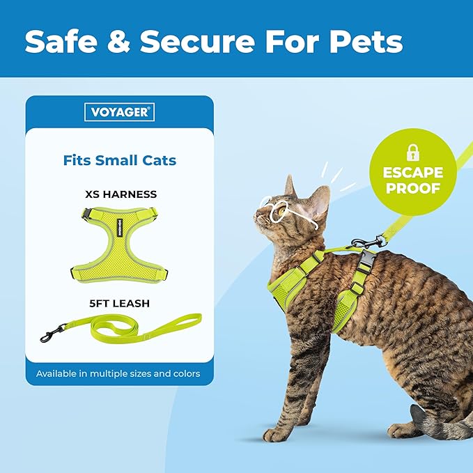 Voyager Escape Proof Cat Harness and Leash Set with Reflective Stitching, Neoprene Handle 5ft - Supports Small, Medium and Large Cats, Kittens for Walking by Best Pet Supplies - Lime, XS