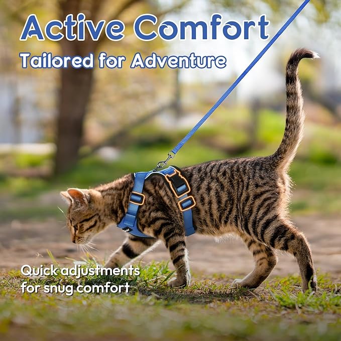Dooradar Cat Harness and Leash Set, Escape Proof Safe Adjustable Kitten Vest Harnesses for Walking, Easy Control Soft Breathable Mesh Jacket with Reflective Strips for Cats, Blue, XS