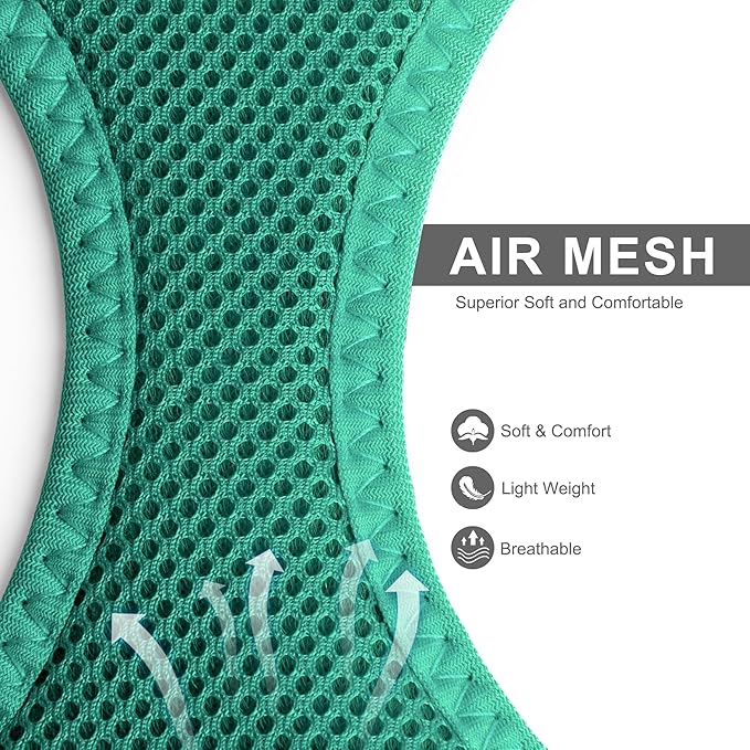 Fida Cat Harness and Leash Set for Walking Kitten and Puppy, Escape Proof Kitten Harness with Breathable Lightweight Soft Mesh, Adjustable Reflective Step-in Design. (XXXS, Green)