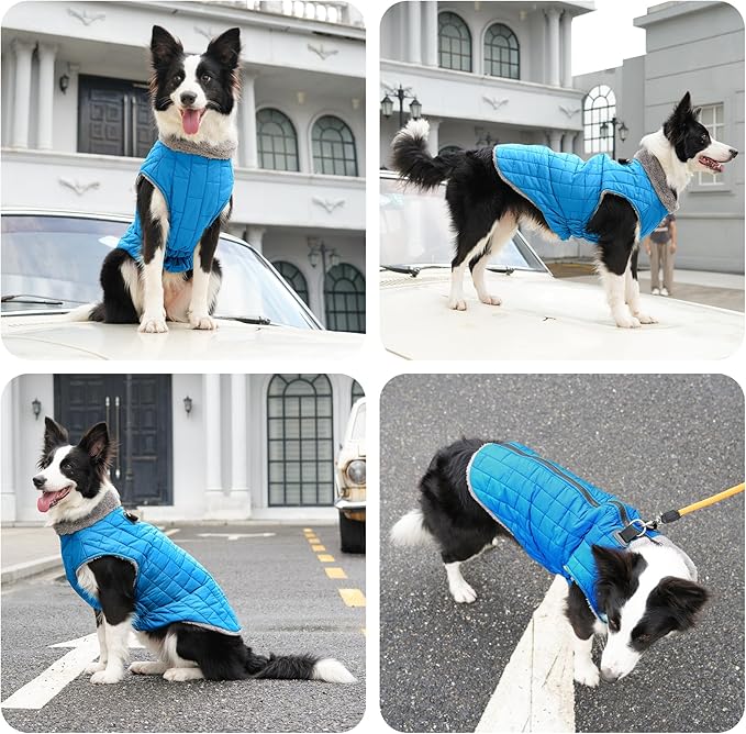 Warm Fleece Dog Coats with Durable Harness Buitl in D-Ring,Waterproof Puppy Jacket for Small Dogs,Dog Vest for Cold Winter,Light Blue S