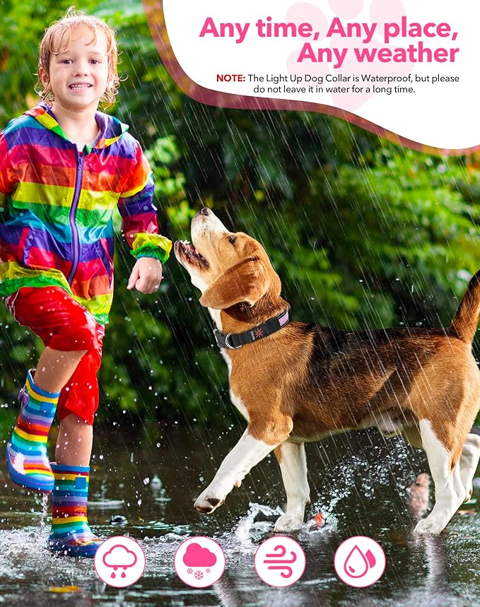 Weesiber Light Up Dog Collar - LED Dog Collar Rechargeable Glow in The Dark Pet Collar, Reflective Safety Dog Lights for Night Walking(Pink, L)